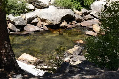 DSC_3683 (Large).JPG